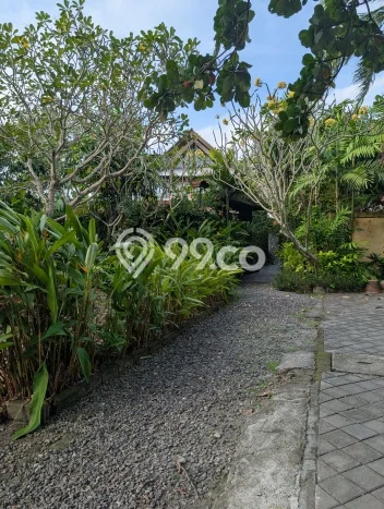 Tanah Investasi Dijual di Badung Punya Luas 2000m2 Tanah Investasi Dijual di Badung Punya Luas 2000m2