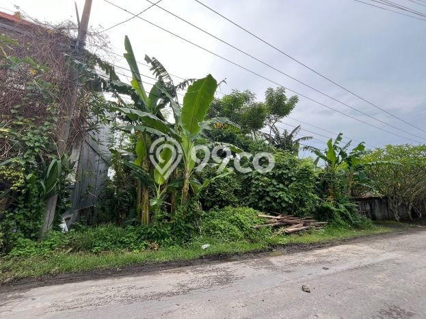 Dijual Tanah 990m2 di Tumbak Bayuh, Badung Dijual Tanah 990m2 di Tumbak Bayuh, Badung