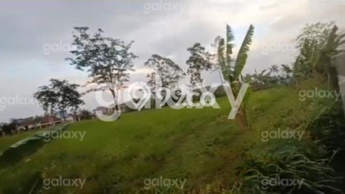 Tanah Kavling di Dau Dijual dengan Luas 5972m2 Tanah Kavling di Dau Dijual dengan Luas 5972m2