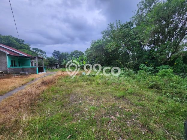 Tanah Dijual di Yogyakarta Seluas 1111m2 Strategis Tanah Dijual di Yogyakarta Seluas 1111m2 Strategis