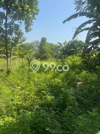 Dijual Tanah Lokasi Marunda, Jakarta Utara Seluas 140000m2 Dijual Tanah Lokasi Marunda, Jakarta Utara Seluas 140000m2