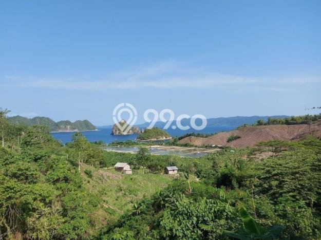 Jarang Ada! Tanah di Pringsewu Punya Luas 250000m2 SHM Jarang Ada! Tanah di Pringsewu Punya Luas 250000m2 SHM