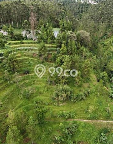 Dijual Tanah di Bandung, Luas 100000m2 SHM Dijual Tanah di Bandung, Luas 100000m2 SHM