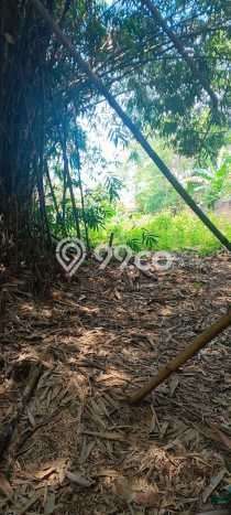 Tanah Dijual Lokasi Tigaraksa, Tangerang Luas 663m2 Legalitas Aman Tanah Dijual Lokasi Tigaraksa, Tangerang Luas 663m2 Legalitas Aman