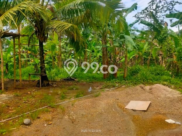 Tanah Komersial Dijual di Padarincang Serang 700m2 Tanah Komersial Dijual di Padarincang Serang 700m2