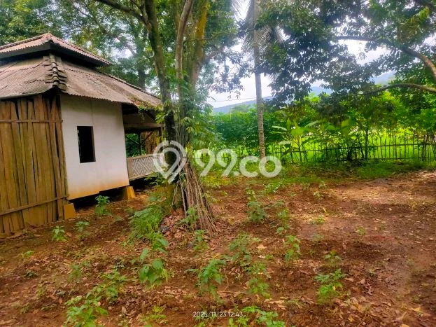 Tanah Strategis Dijual di Padarincang Serang 800m2 Tanah Strategis Dijual di Padarincang Serang 800m2