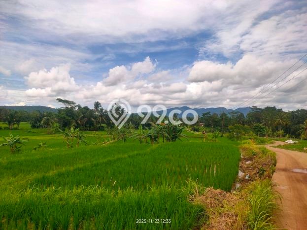 Tanah Kavling untuk Dijual di Padarincang Serang 2000m2 Tanah Kavling untuk Dijual di Padarincang Serang 2000m2