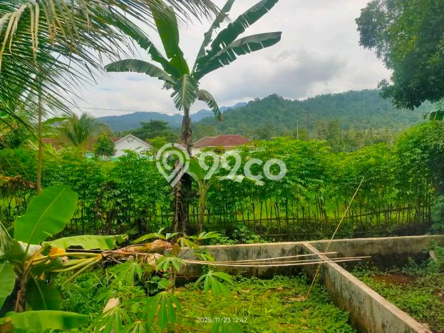 Tanah Strategis Dijual di Padarincang Serang 800m2 Tanah Strategis Dijual di Padarincang Serang 800m2