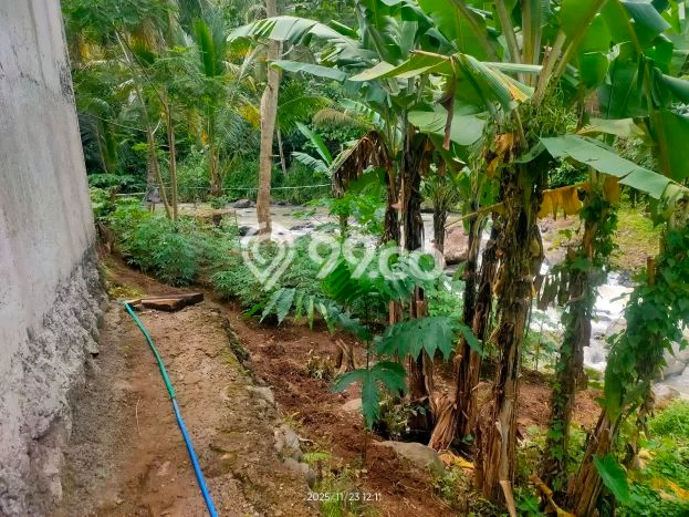 Tanah Komersial Dijual di Padarincang Serang 700m2 Tanah Komersial Dijual di Padarincang Serang 700m2