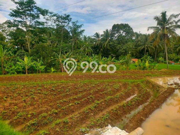 Tanah Kavling untuk Dijual di Padarincang Serang 2000m2 Tanah Kavling untuk Dijual di Padarincang Serang 2000m2