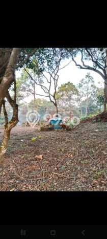 Tanah di Anyer, Anyer Luas 14000m2 Dijual Segera Tanah di Anyer, Anyer Luas 14000m2 Dijual Segera