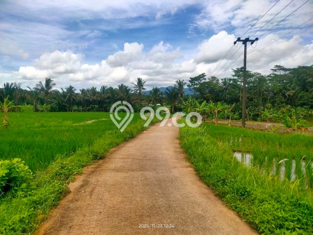 Tanah Kavling untuk Dijual di Padarincang Serang 2000m2 Tanah Kavling untuk Dijual di Padarincang Serang 2000m2