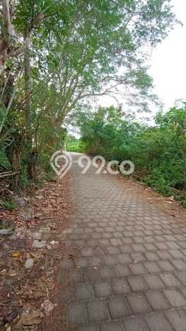 Tanah Disewakan Lokasi Badung Seluas 1700m2 Strategis dan Aman Tanah Disewakan Lokasi Badung Seluas 1700m2 Strategis dan Aman