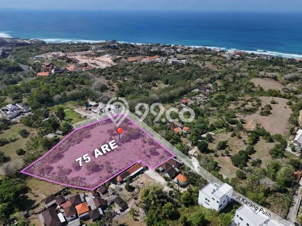 Tanah Dijual Lokasi Strategis di Badung dengan Luas 7500m2 Tanah Dijual Lokasi Strategis di Badung dengan Luas 7500m2