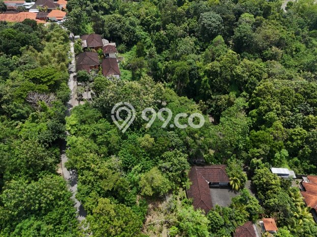 Tanah Dijual Lokasi Strategis di Badung dengan Luas 2000m2 Tanah Dijual Lokasi Strategis di Badung dengan Luas 2000m2