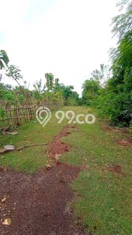 Tanah Disewakan Lokasi Badung Seluas 2800m2 Strategis dan Aman Tanah Disewakan Lokasi Badung Seluas 2800m2 Strategis dan Aman