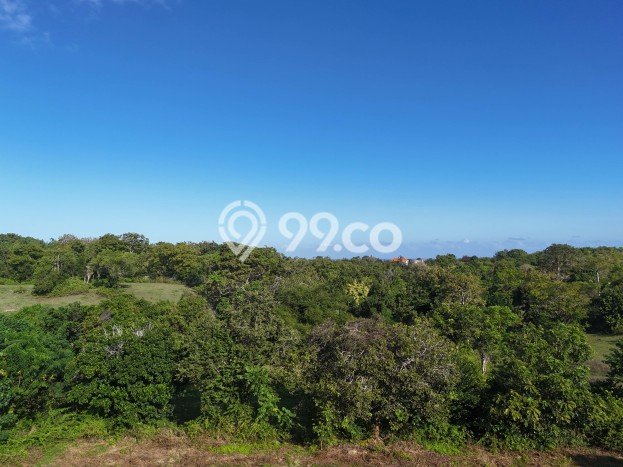 Jarang Ada! Tanah Kavling Disewakan di Badung 7300m2 Jarang Ada! Tanah Kavling Disewakan di Badung 7300m2