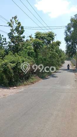 Tanah Disewa di Pecatu Strategis dan Memiliki Luas 14000m2 Tanah Disewa di Pecatu Strategis dan Memiliki Luas 14000m2