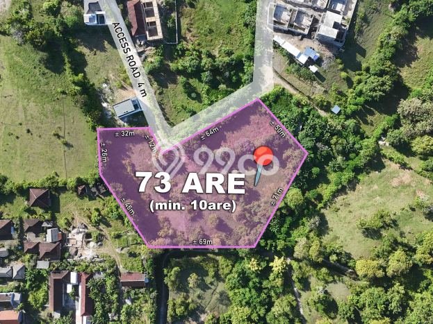 Jarang Ada! Tanah Kavling Disewakan di Badung 7300m2 Jarang Ada! Tanah Kavling Disewakan di Badung 7300m2
