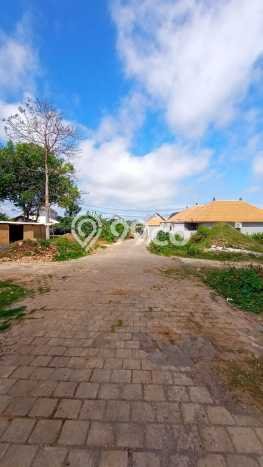 Jarang Ada! Tanah Kavling Disewakan di Badung 1600m2 Jarang Ada! Tanah Kavling Disewakan di Badung 1600m2