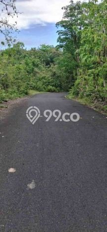 Untuk Disewa Tanah di Badung, Luas 15500m2 Area Berkembang Untuk Disewa Tanah di Badung, Luas 15500m2 Area Berkembang