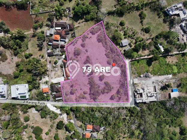 Tanah Dijual Lokasi Strategis di Badung dengan Luas 7500m2 Tanah Dijual Lokasi Strategis di Badung dengan Luas 7500m2