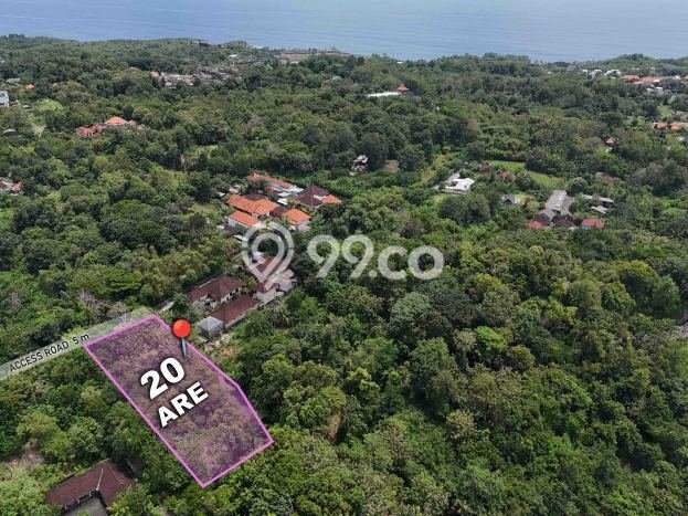 Tanah Dijual Lokasi Strategis di Badung dengan Luas 2000m2 Tanah Dijual Lokasi Strategis di Badung dengan Luas 2000m2