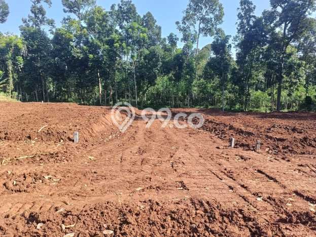 Tanah di Gunung Pati, Semarang Luas 120m2 Dijual Segera Tanah di Gunung Pati, Semarang Luas 120m2 Dijual Segera