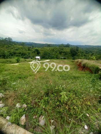 Jarang Ada! Tanah di Gunung Pati Punya Luas 150m2 SHM Jarang Ada! Tanah di Gunung Pati Punya Luas 150m2 SHM