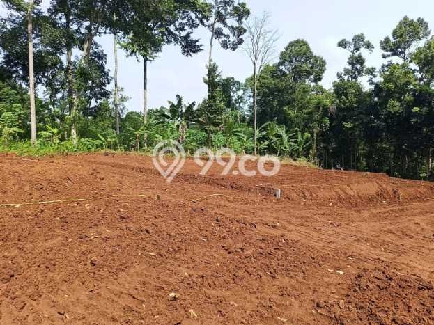 Tanah Kavling untuk Dijual di Gunung Pati Semarang 120m2 Tanah Kavling untuk Dijual di Gunung Pati Semarang 120m2
