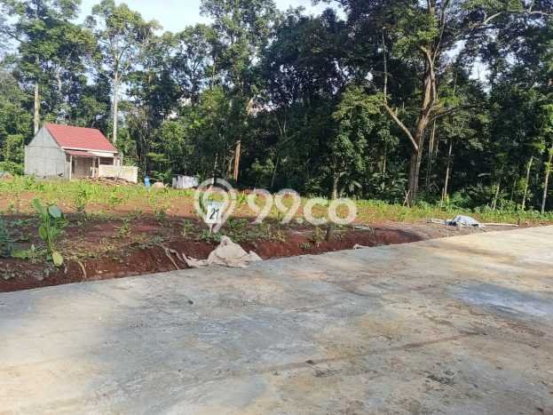 Tanah Kavling untuk Dijual di Gunung Pati Semarang 120m2 Tanah Kavling untuk Dijual di Gunung Pati Semarang 120m2