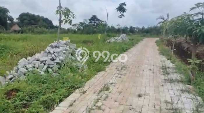 Lahan untuk Dijual di Mijen Semarang Luas 120m2 Lahan untuk Dijual di Mijen Semarang Luas 120m2