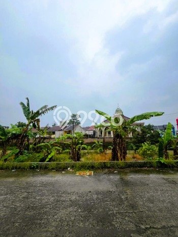 Tanah Komersial Dijual di Tembalang Semarang 350m2 Tanah Komersial Dijual di Tembalang Semarang 350m2