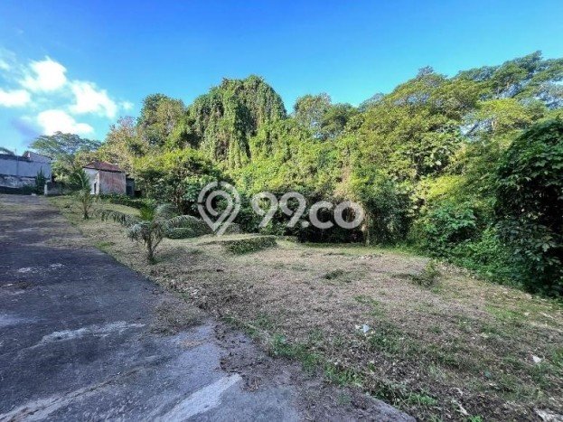 Tanah Dijual Area Strategis di Delodpeken Tabanan 147m2 Tanah Dijual Area Strategis di Delodpeken Tabanan 147m2