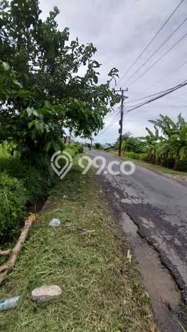 Tanah Disewakan Lokasi Badung Seluas 3700m2 Strategis dan Aman Tanah Disewakan Lokasi Badung Seluas 3700m2 Strategis dan Aman