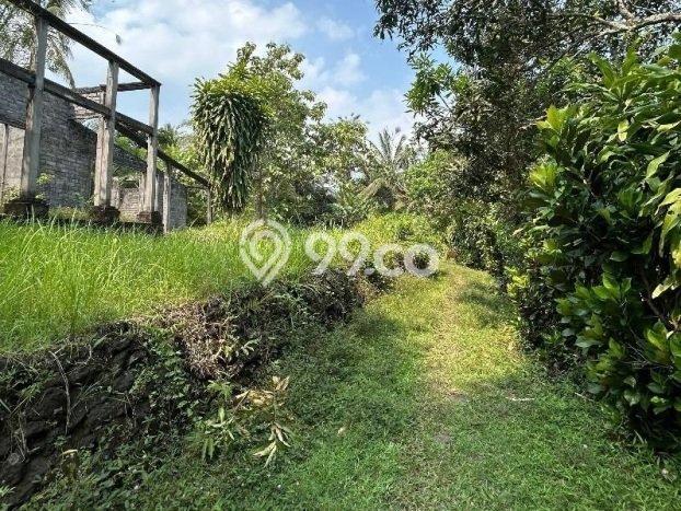 Lahan Dijual Lokasi Selemadeg, Tabanan dengan Luas Tanah 2900m2 dan Status SHM Lahan Dijual Lokasi Selemadeg, Tabanan dengan Luas Tanah 2900m2 dan Status SHM