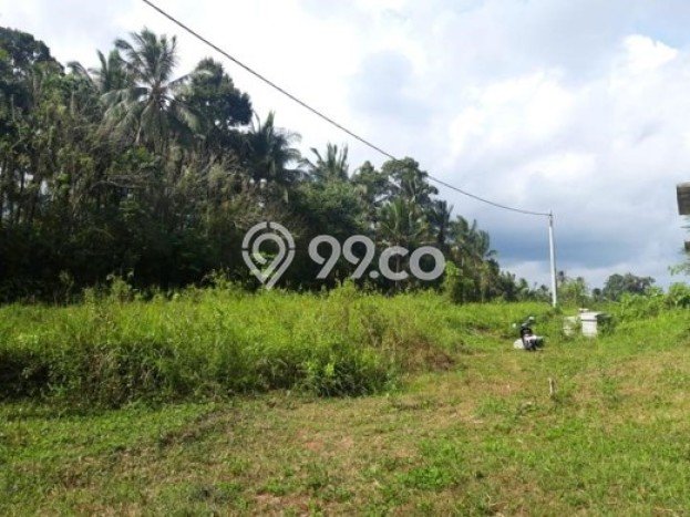 Lahan Strategis di Marga Dijual dengan Luas 100m2 Lahan Strategis di Marga Dijual dengan Luas 100m2