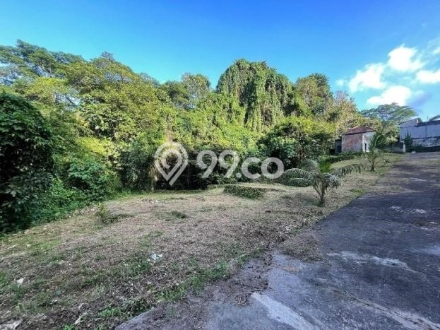 Tanah Dijual Area Strategis di Delodpeken Tabanan 147m2 Tanah Dijual Area Strategis di Delodpeken Tabanan 147m2
