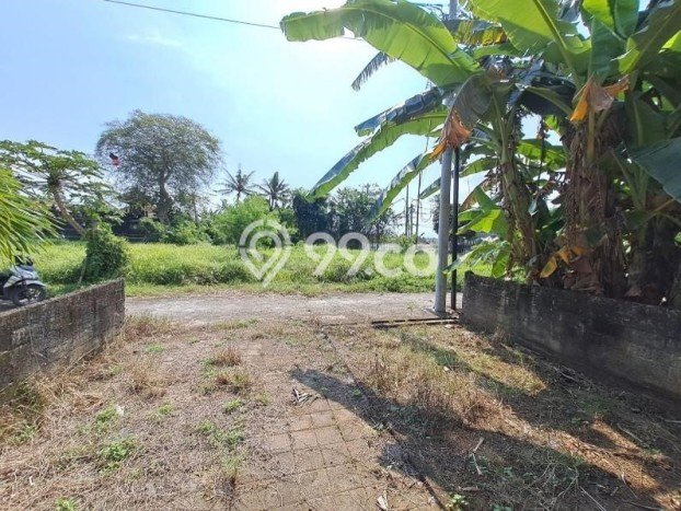 Tanah Dijual Area Strategis di Bongan Tabanan 120m2 Tanah Dijual Area Strategis di Bongan Tabanan 120m2