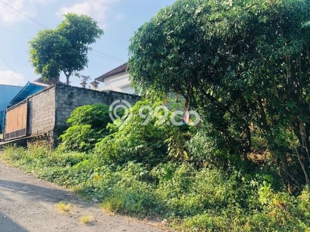 Tanah Kavling Dijual di Peken, Tabanan dengan Luas Tanah 430m2 Tanah Kavling Dijual di Peken, Tabanan dengan Luas Tanah 430m2