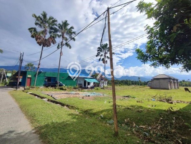 Lahan untuk Dijual Lokasi Gerokgak, Buleleng Luas 315m2 SHM Lahan untuk Dijual Lokasi Gerokgak, Buleleng Luas 315m2 SHM