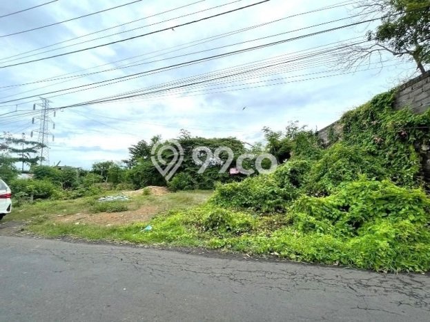 Lahan Investasi Lokasi Sukasada Buleleng SHM Lahan Investasi Lokasi Sukasada Buleleng SHM
