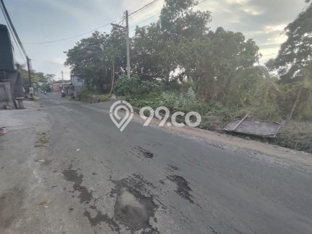 Tanah Kavling Dijual di Buleleng dengan Spesifikasi 3300m2 Tanah Kavling Dijual di Buleleng dengan Spesifikasi 3300m2