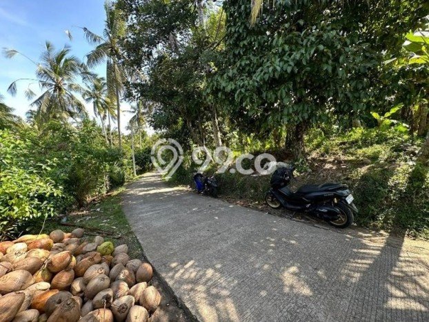 Lahan Dijual Lokasi Strategis di Jembrana dengan Luas 9475m2 Lahan Dijual Lokasi Strategis di Jembrana dengan Luas 9475m2