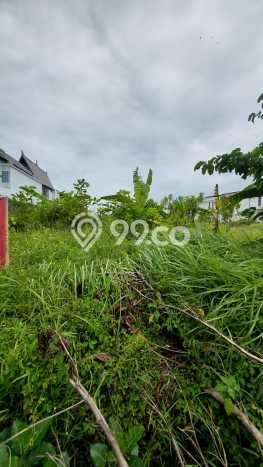 Tanah Disewakan Lokasi Badung Seluas 3700m2 Strategis dan Aman Tanah Disewakan Lokasi Badung Seluas 3700m2 Strategis dan Aman