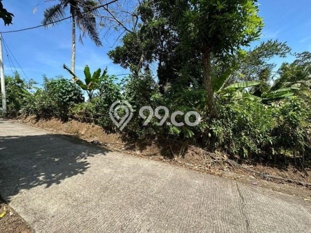 Dijual Tanah 2540m2 di Pohsanten, Jembrana Dijual Tanah 2540m2 di Pohsanten, Jembrana