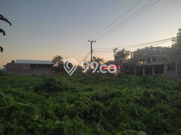 Tanah Disewa Strategis di Badung Luas 3250m2 Tanah Disewa Strategis di Badung Luas 3250m2