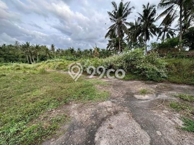 Tanah Dijual Lokasi Selemadeg, Tabanan Luas 102m2 Legalitas Aman Tanah Dijual Lokasi Selemadeg, Tabanan Luas 102m2 Legalitas Aman