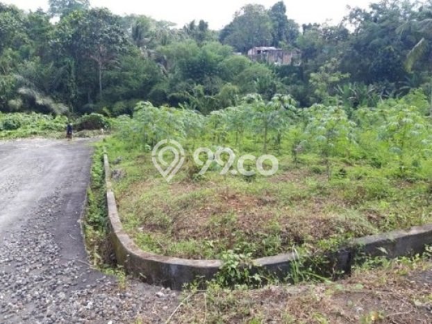 Tanah Dijual Lokasi Kerambitan, Tabanan Luas 200m2 Legalitas Aman Tanah Dijual Lokasi Kerambitan, Tabanan Luas 200m2 Legalitas Aman