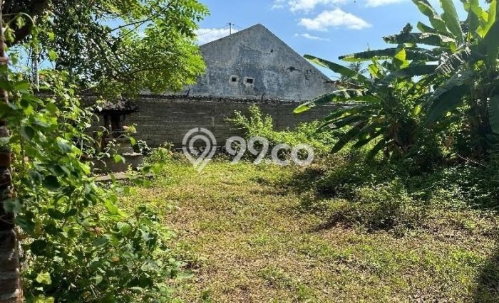 Tanah Dijual di Buleleng Seluas 4680m2 Strategis Tanah Dijual di Buleleng Seluas 4680m2 Strategis